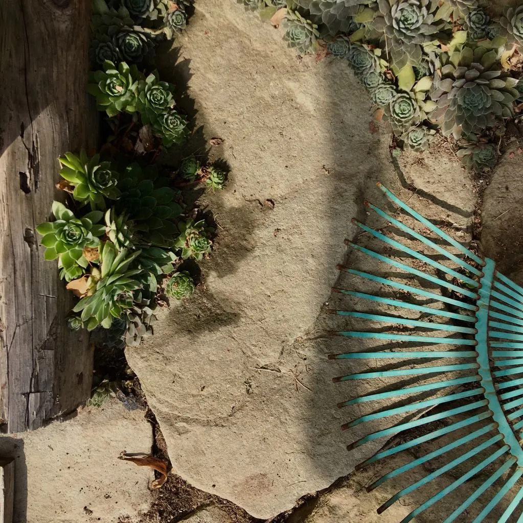 Karmajoga — praca w ogrodzie