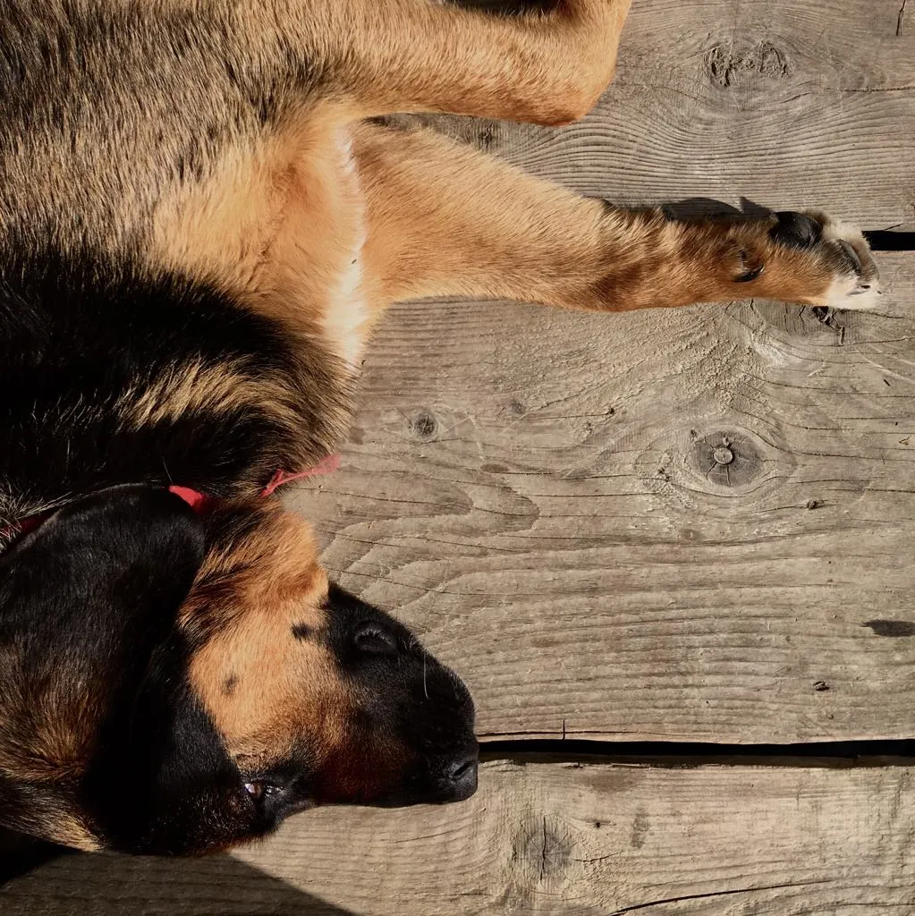 Hamaki i odpoczynek w Nowicy Łan